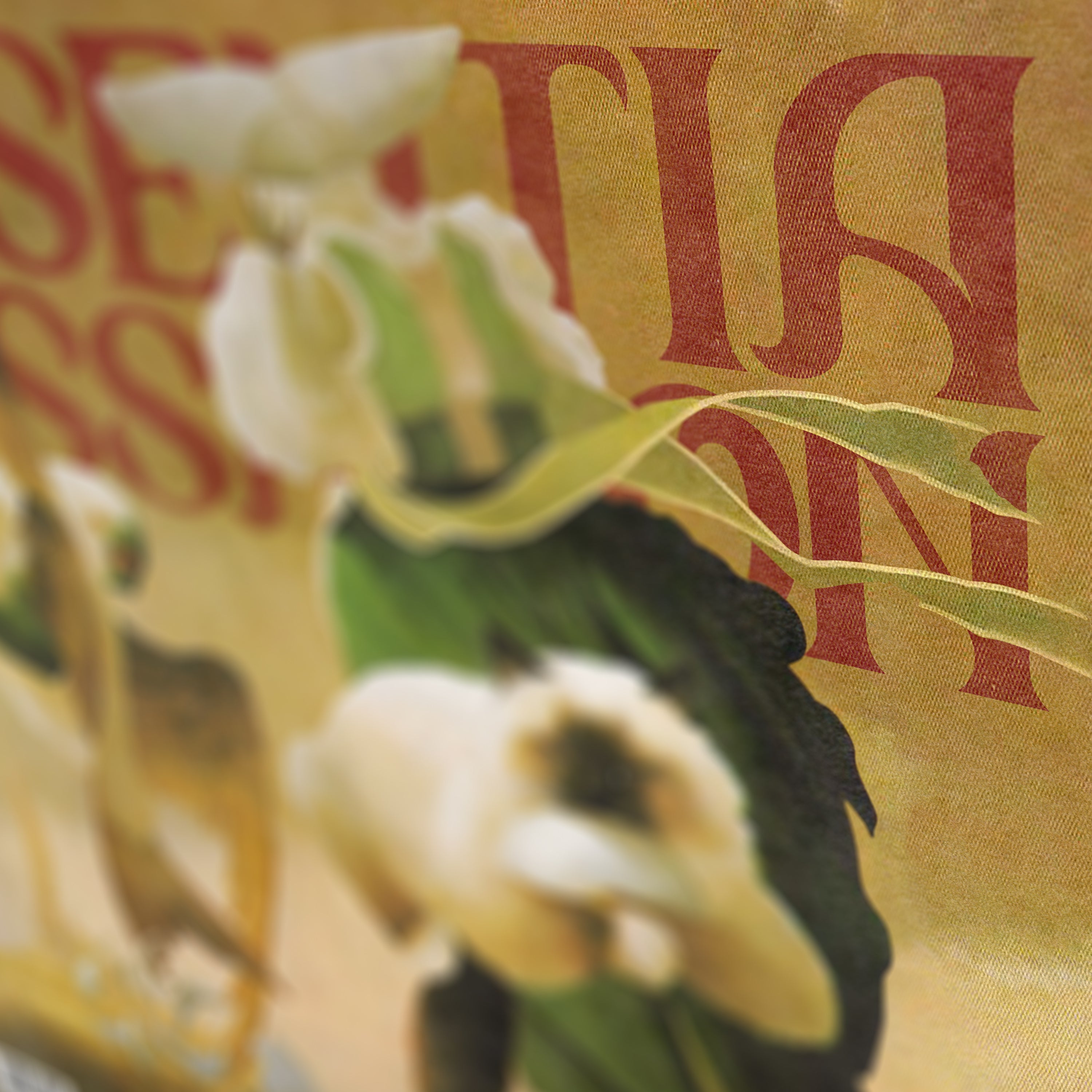 Essentia (Cessation)