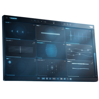 The Memory Plugin