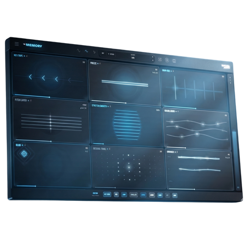The Memory Plugin
