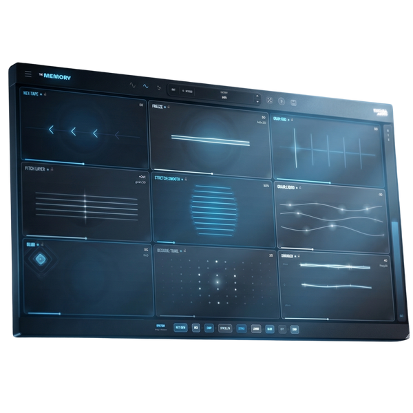 The Memory Plugin